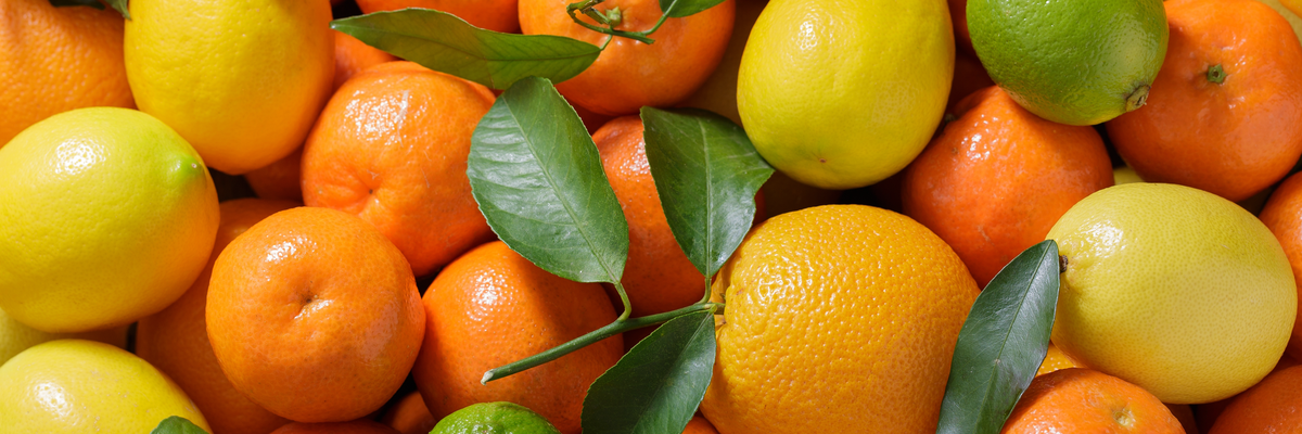 Abbildung von Orangen und Zitronen in einer Nahaufnahme.